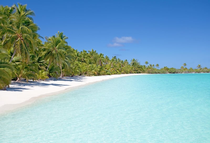 Tropical Paradise